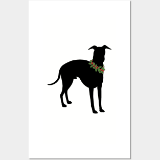 Italian Greyhound with festive holly collar Holiday design Posters and Art